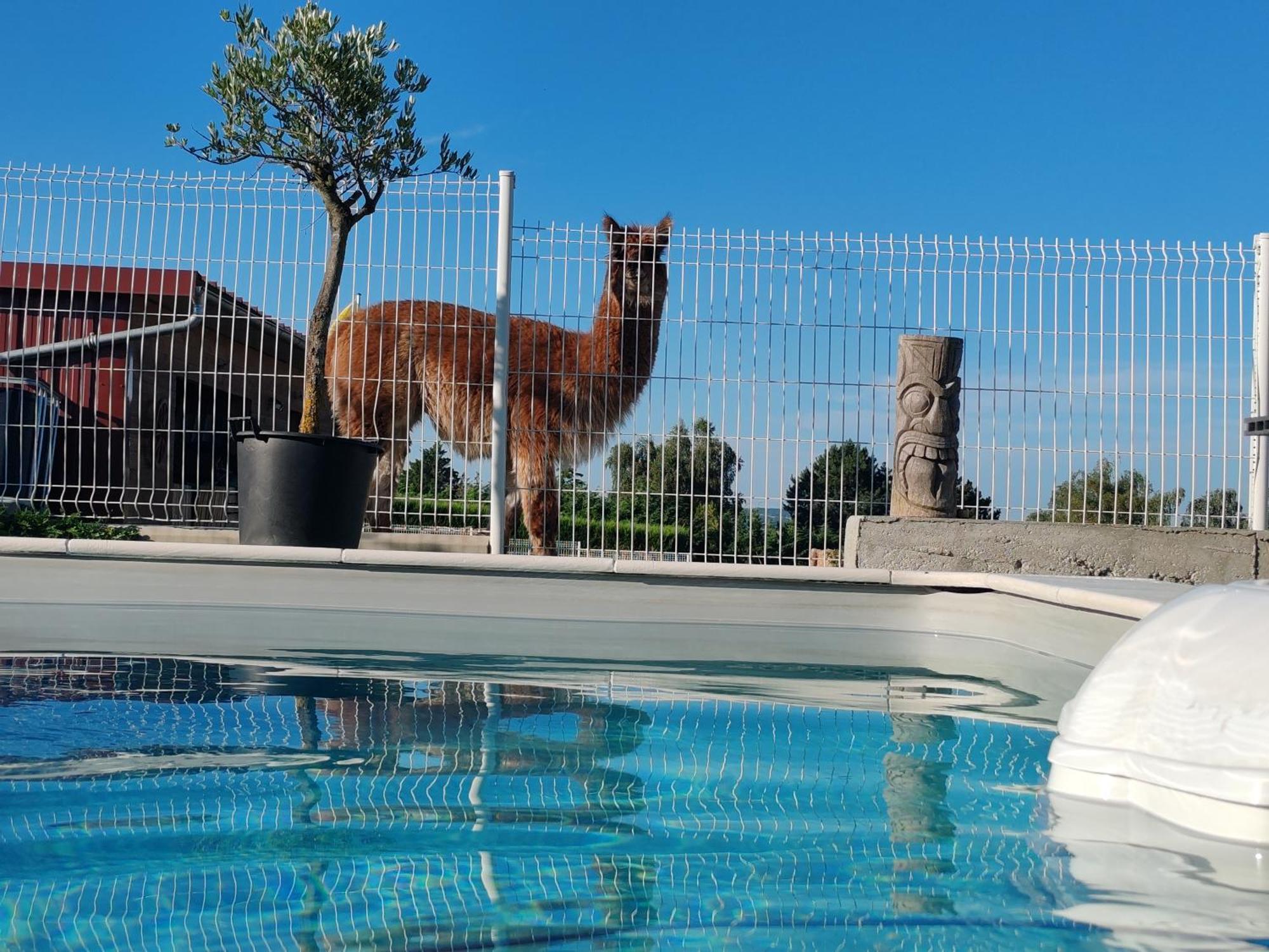 Tiny House Des Bougnats Villa Teilhede ภายนอก รูปภาพ